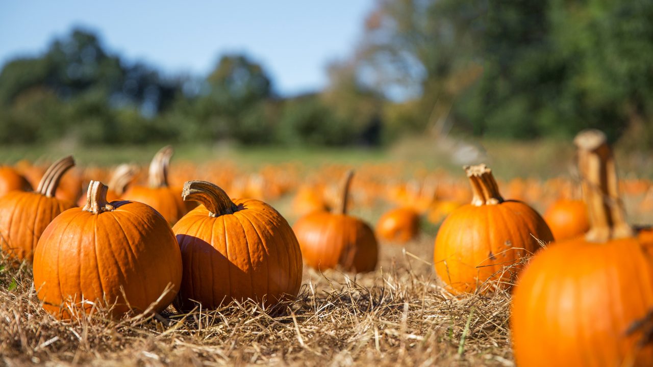 https://www.phoenixmag.com/wp-content/uploads/2019/10/AdobeStock_229228930-1280x720.jpeg