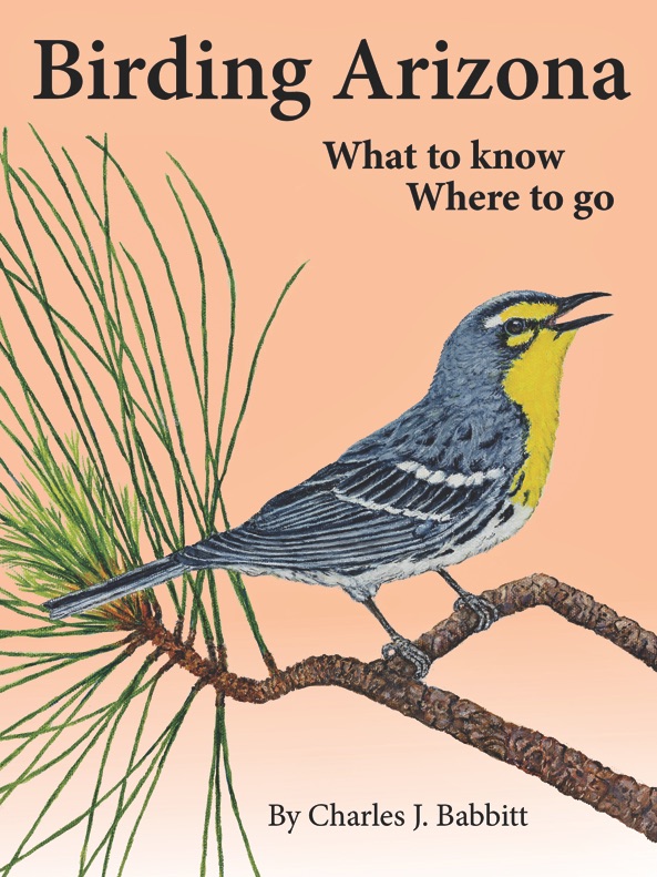 https://www.phoenixmag.com/wp-content/uploads/2019/10/PHM1119CU09.jpg