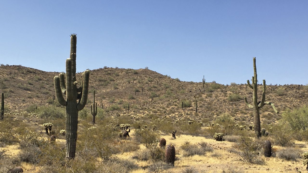 https://www.phoenixmag.com/wp-content/uploads/2019/10/PHM1119PF03-1280x720.jpg