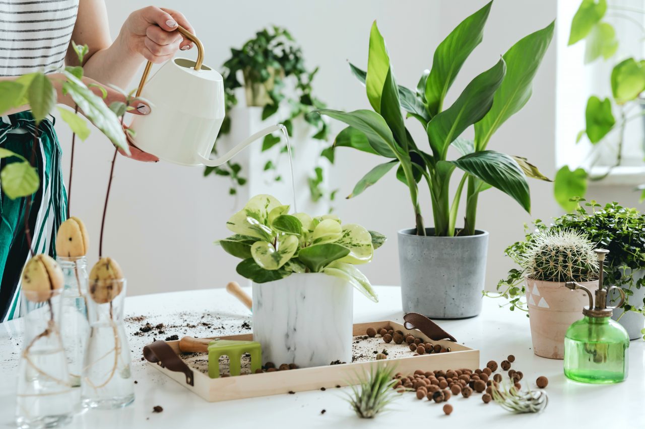 https://www.phoenixmag.com/wp-content/uploads/2020/03/AdobeStock_297291798-1280x853.jpeg