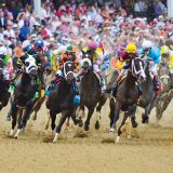 7 Louisville Must-Douxs