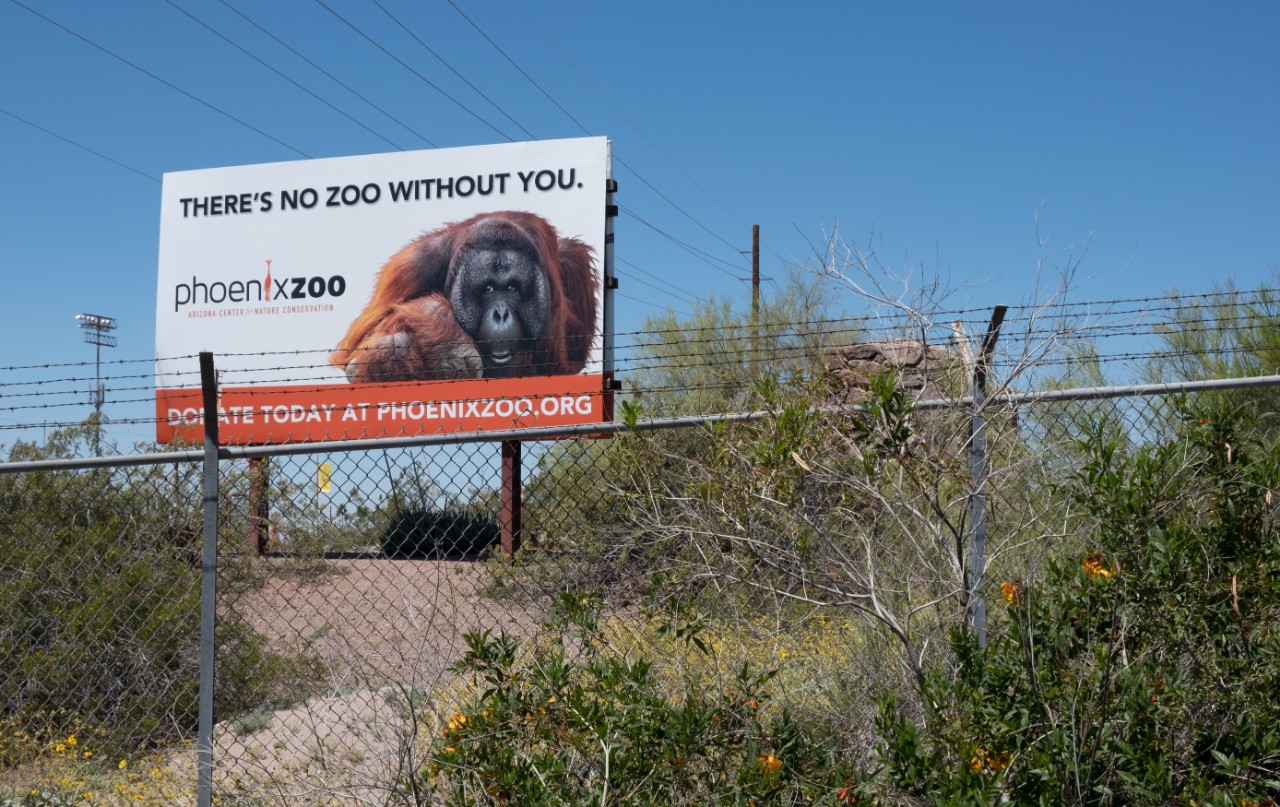 While Phoenix Zoo is a nonprofit organization, it's earned revenue (read: admission sales and ticketed events) account for 80 percent of its operating expenses and like many Valley businesses, rely on high season (October-May) to support them throughout slower summers. At present, there are less than 40 percent of the zoo's staff working and all or most of them are taking on additional duties, making sure the the animals are happy and healthy, giving this sign's tagline