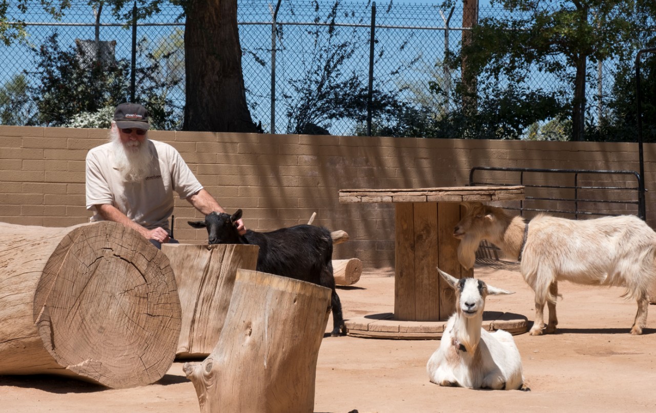 Farm animals are especially gregarious, like these goats who are quite used to getting pets throughout regular visiting hours. Each day, members of various departments make it a priority to stop by to recoup some of those lost strangers' strokes.
