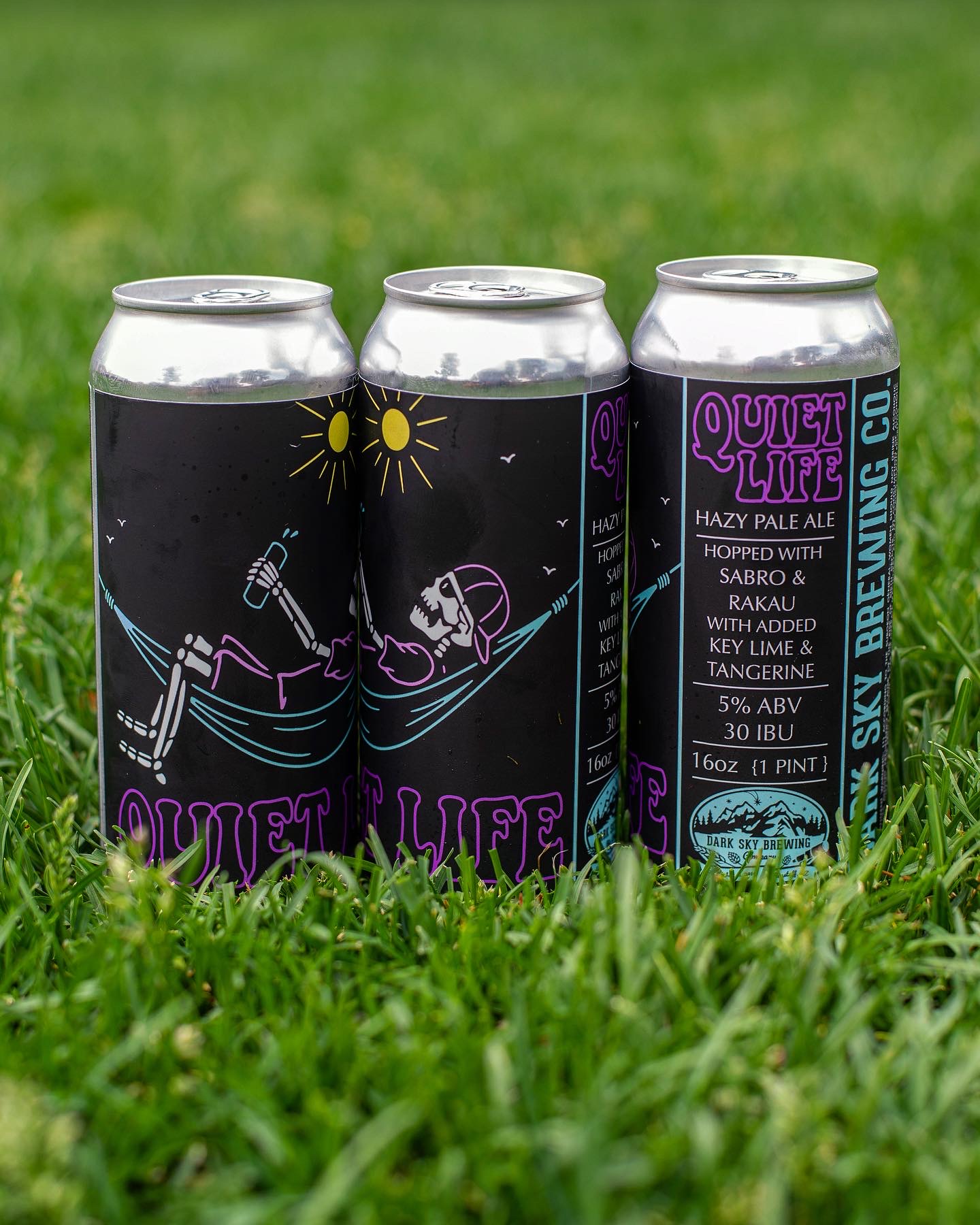 Dark Sky Brewing. Courtesy Miguel Guzman dsignhause.com