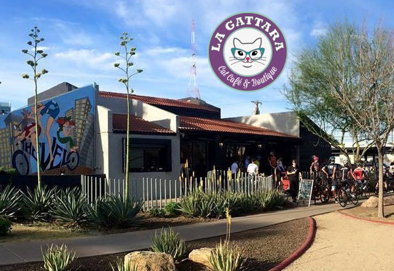 https://www.phoenixmag.com/wp-content/uploads/2020/10/la_gattara_new_location-1280x882.jpg