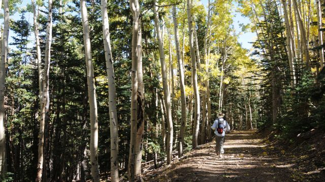 Hiking the Abineau-Bear Jaw Loop in Flagstaff