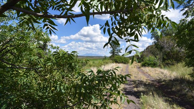 Berry Road Hike in the Coconino National Forest
