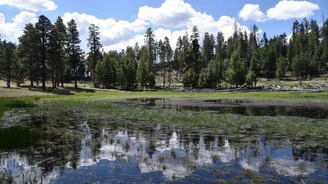 Hike a Volcano at Crater Lake in Northern Arizona