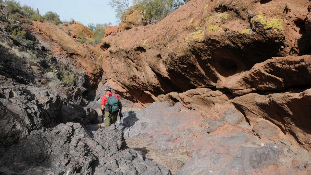 https://www.phoenixmag.com/wp-content/uploads/2021/06/DinosaurWash-1280x720.jpg