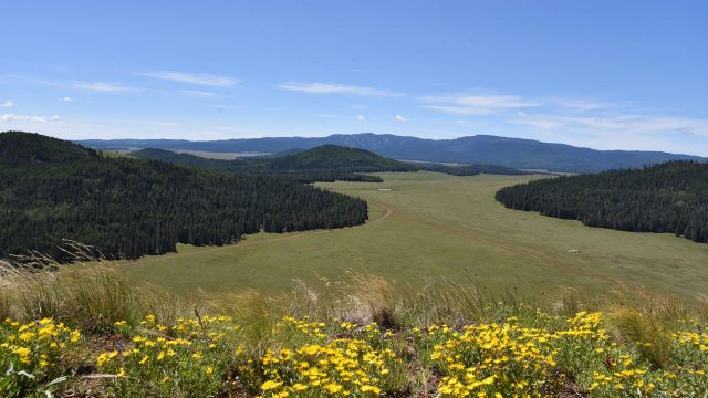 Greens Peak Hike in the Apache-Sitgreaves National Forest