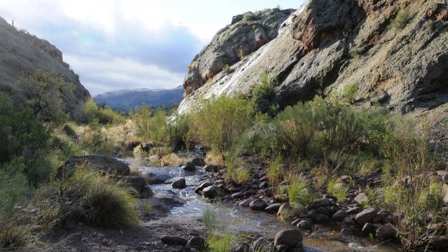 Hackberry Spring in Superstition Wilderness Area