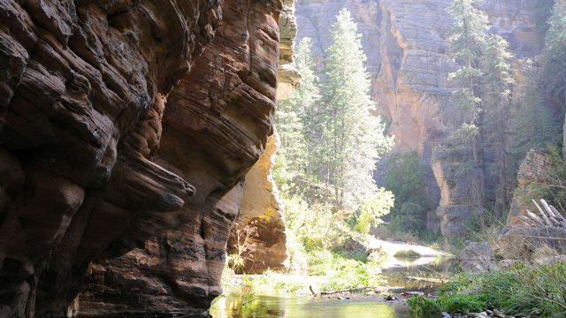 Headwaters Trail Hiking in West Clear Creek Wilderness Area
