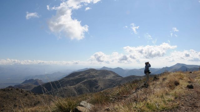Hike Humboldt Mountain in the Tonto National Forest
