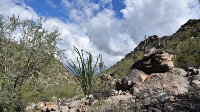 Hike Kiwanis Trail at South Mountain Park