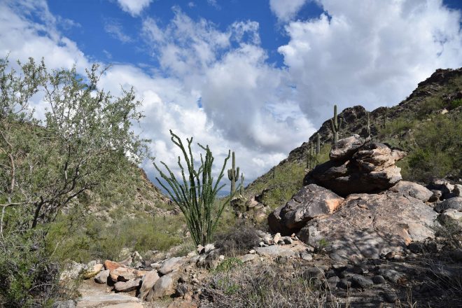 Hike Kiwanis Trail at South Mountain Park Hike Kiwanis Trail at South Mountain Park
