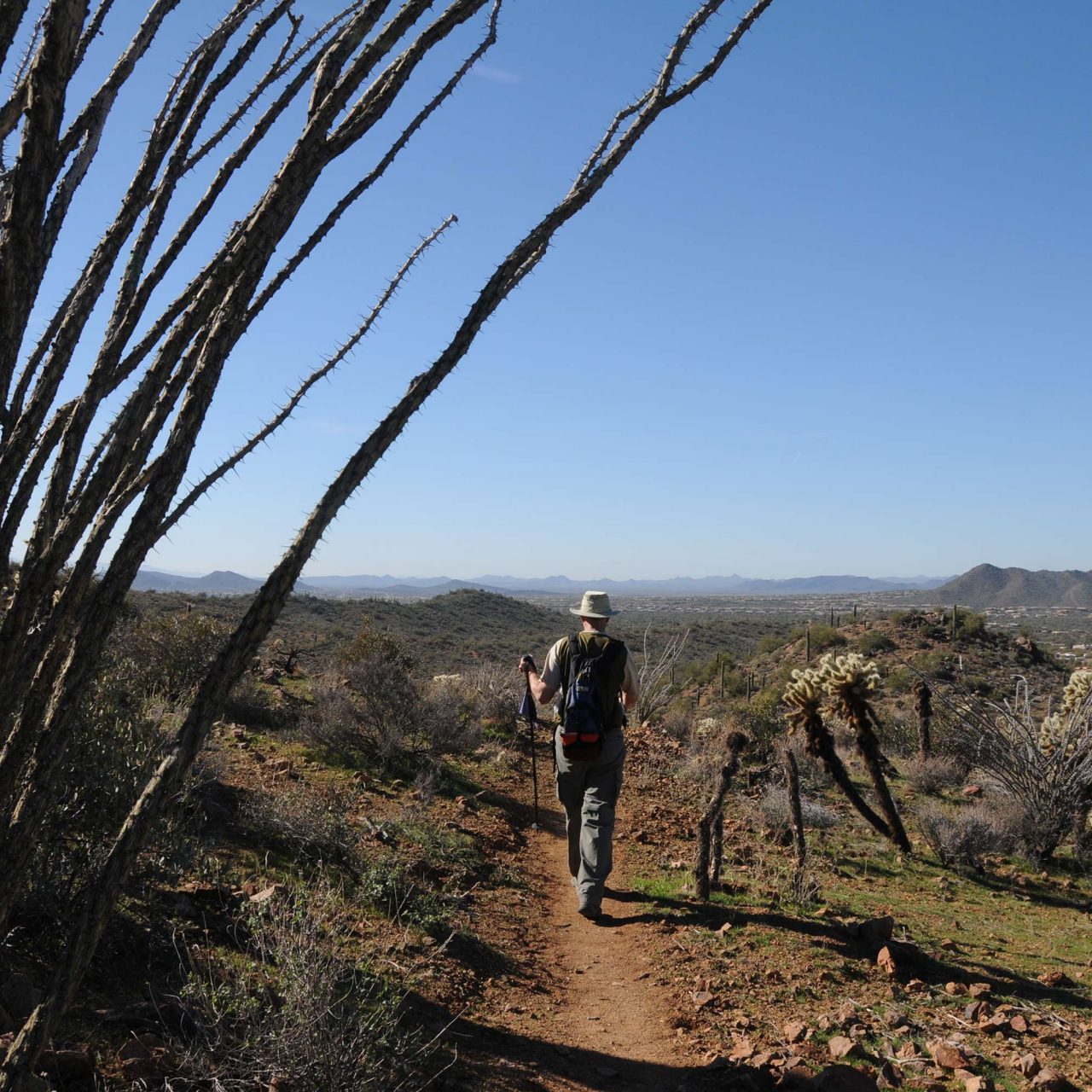 Hike the Maricopa Trail Spear S Ranch in New River