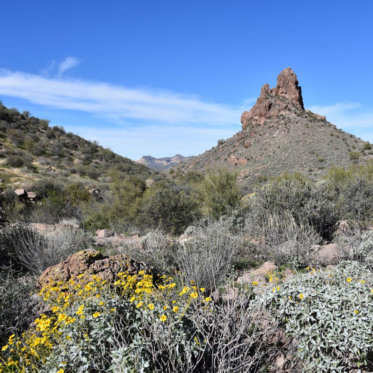Hike Massacre Grounds in Superstition Wilderness Area