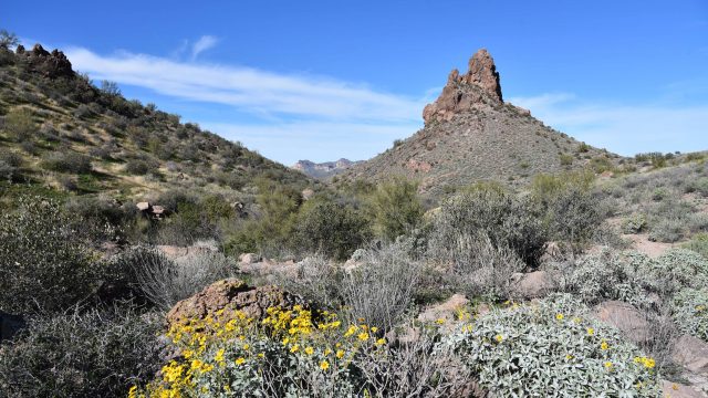 Hike Massacre Grounds in Superstition Wilderness Area