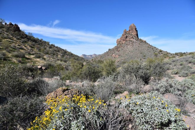 Massacre Grounds Hike in Superstition Wilderness Area