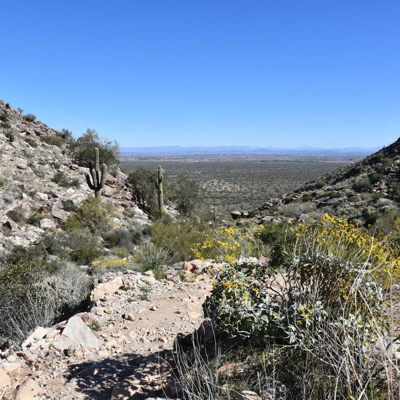 Mesquite Canyon Hike at White Tank Mountain Regional Park