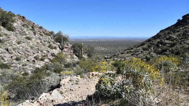Hike Mesquite Canyon at White Tank Mountain Regional Park
