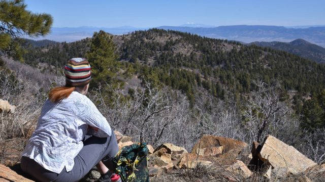 Hike Mount Union in the Prescott National Forest