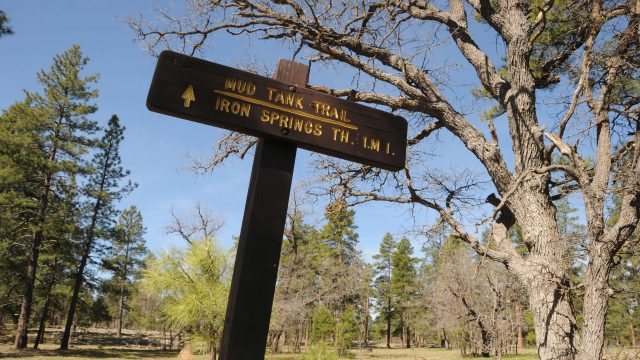 Hike the Munds Park Trail System