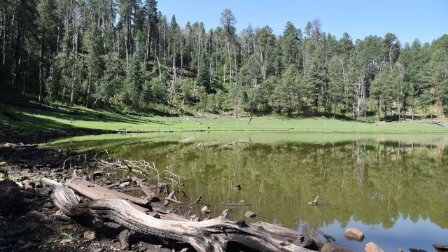 Hike at Potato Lake in the Coconino National Forest