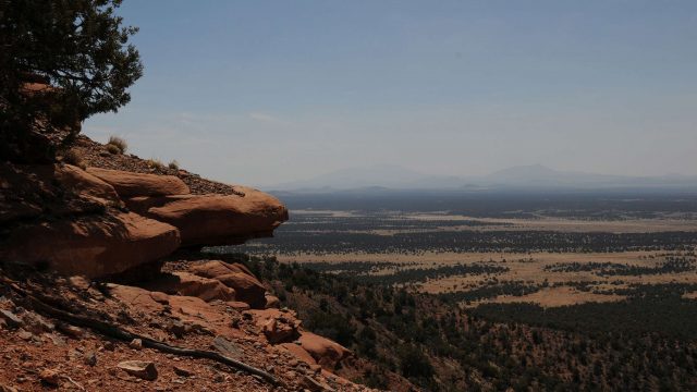 Red Butte Hiking Trail in the Kaibab National Forest