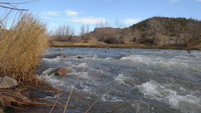Hike the Red Creek in the Tonto National Forest
