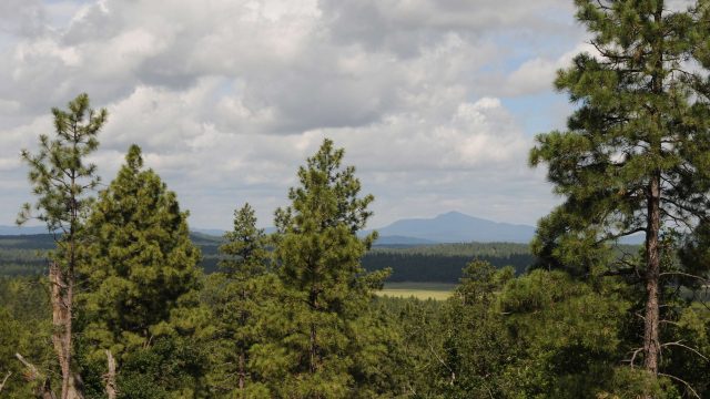 Hike the Rogers Lake County Natural Area in Flagstaff