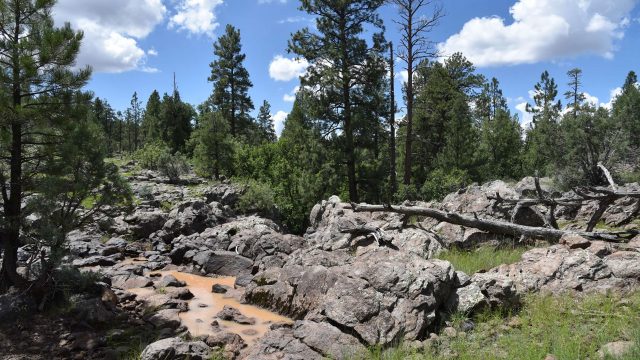 Hike the Stage Station Loop in Williams