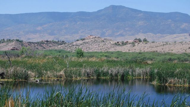 Tavasci Marsh Hike at Dead Horse Ranch State Park