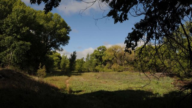 Watson Woods Riparian Preserve Hike in Prescott