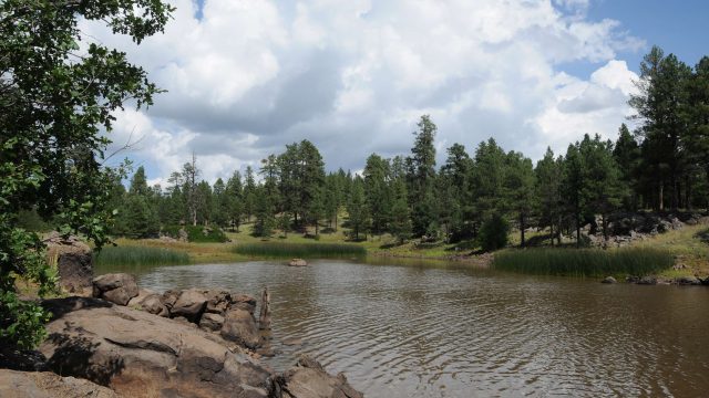 Whitehorse Lake Trails in the Kaibab National Forest