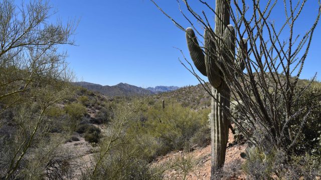 Hiking the Arizona Trail Passage Gila River Canyons