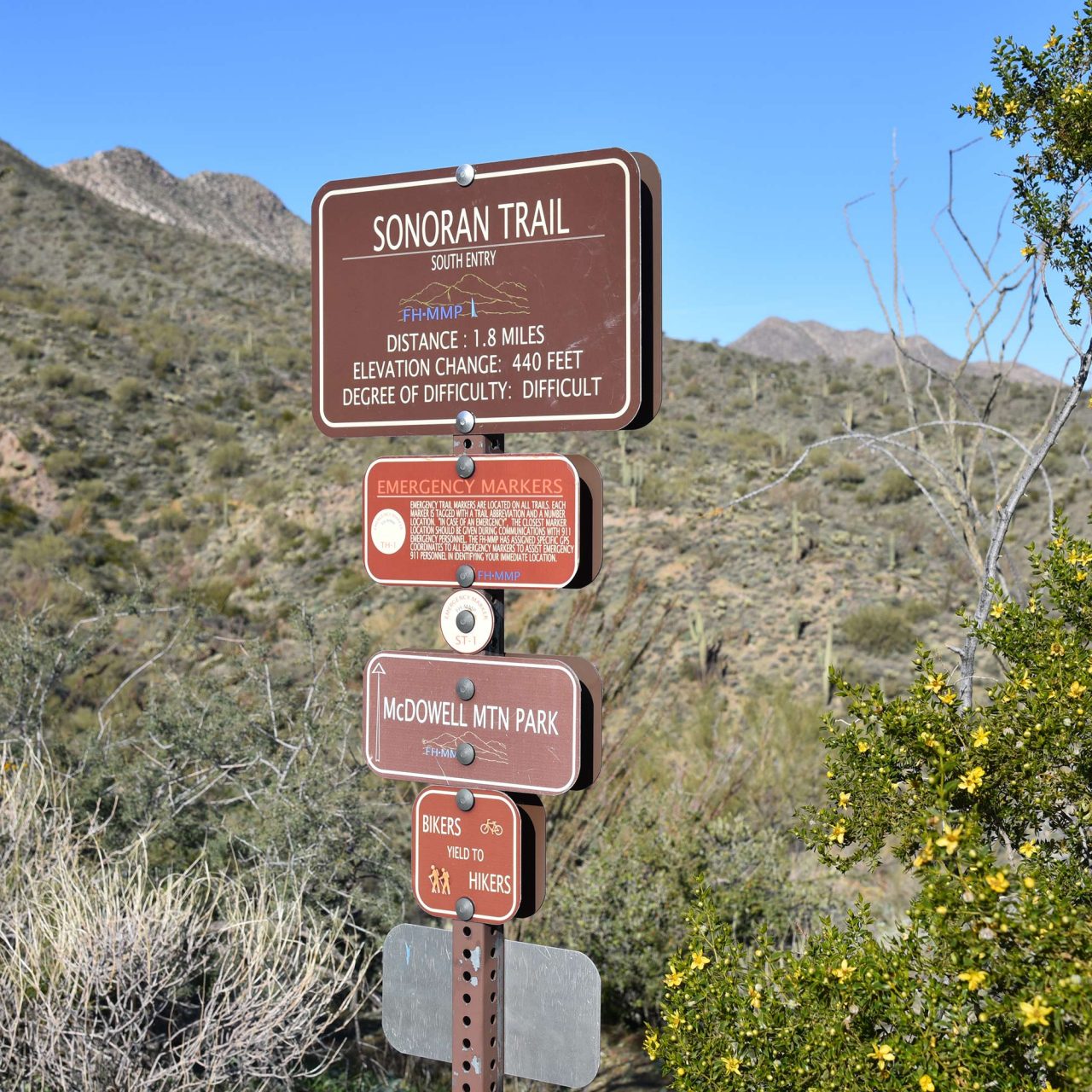 Fountain Hills McDowell Mountain Preserve Hike