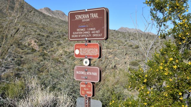 Hiking in the Fountain Hills McDowell Mountain Preserve