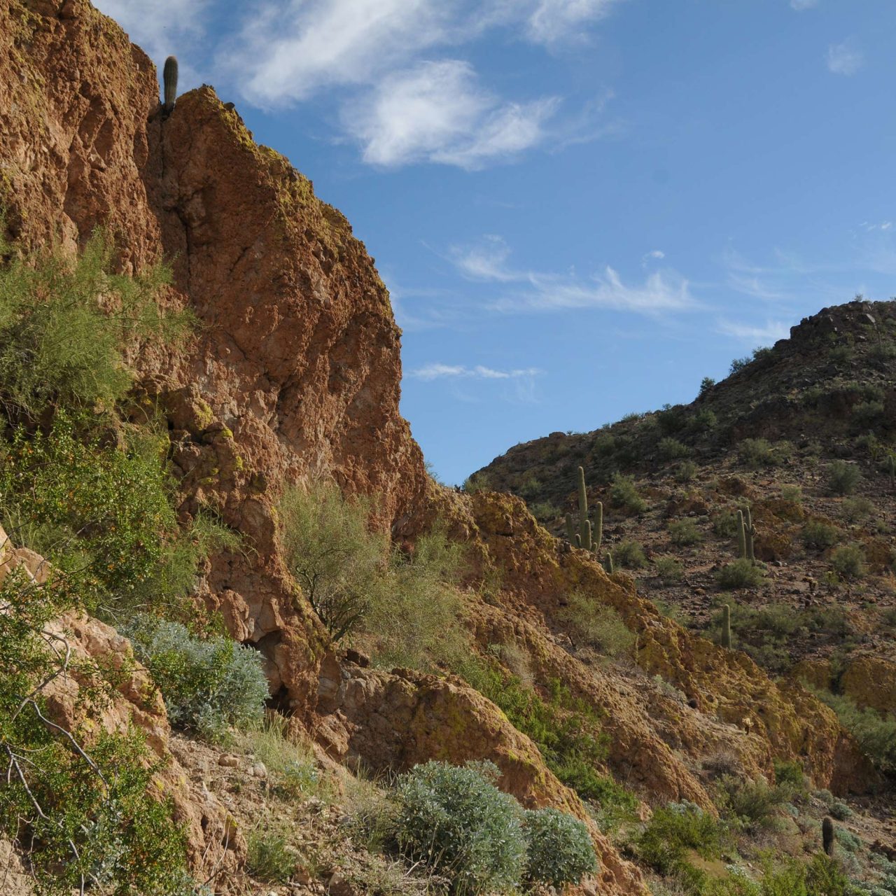 Peoria Mountain Trails Offer Outstanding Views of the Valley