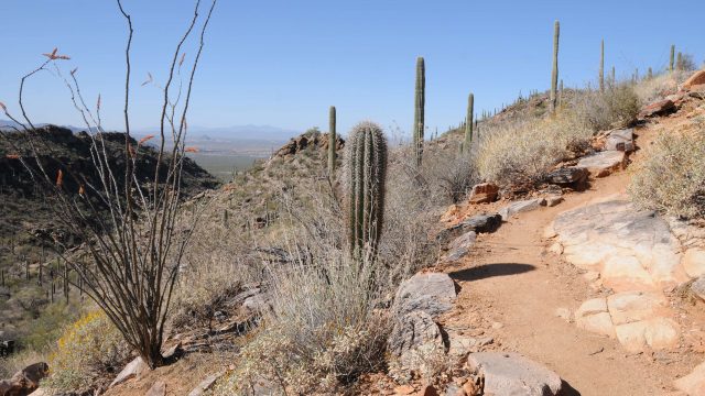Wild Mustang Trail in the Tortolita Mountains in Marana