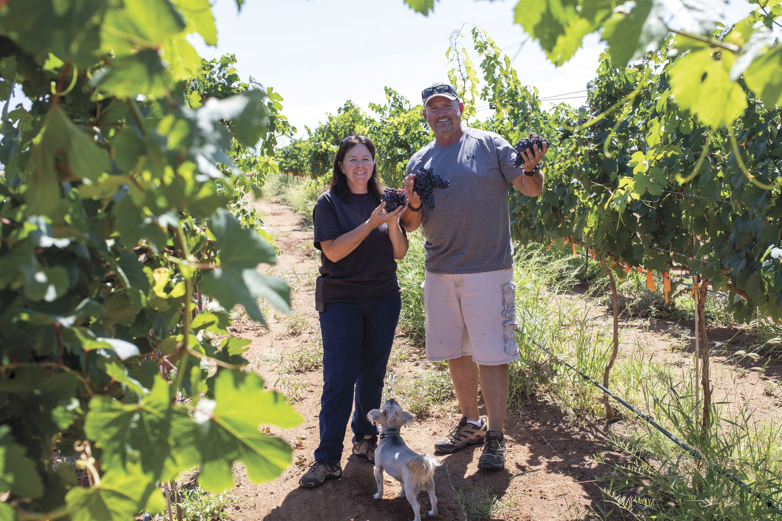 Edie and Tom Gustason of High Lonesome Vineyard; Photo by Leah LeMoine Edie and Tom Gustason of High Lonesome Vineyard; Photo by Leah LeMoine