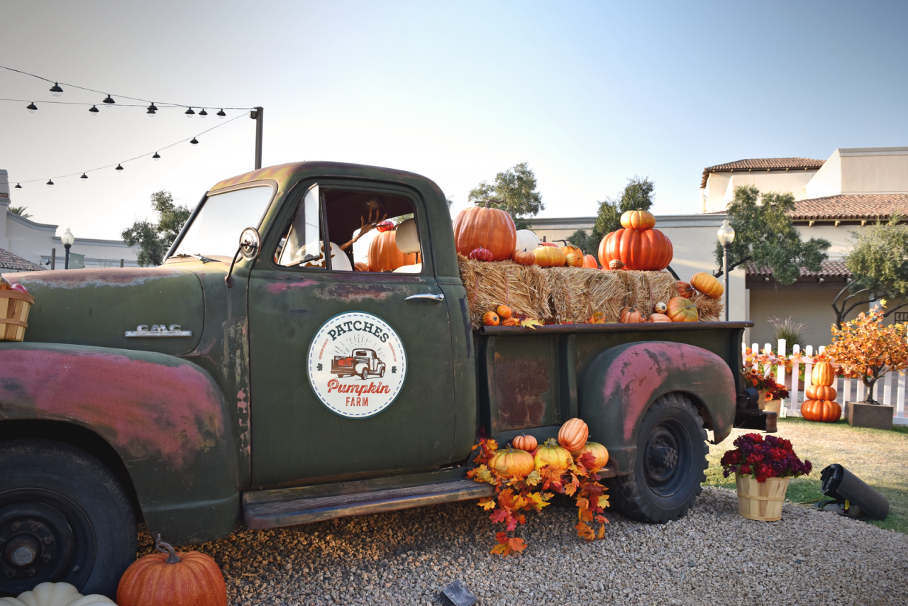 https://www.phoenixmag.com/wp-content/uploads/2021/09/PrincessPumpkin2-1280x854.png