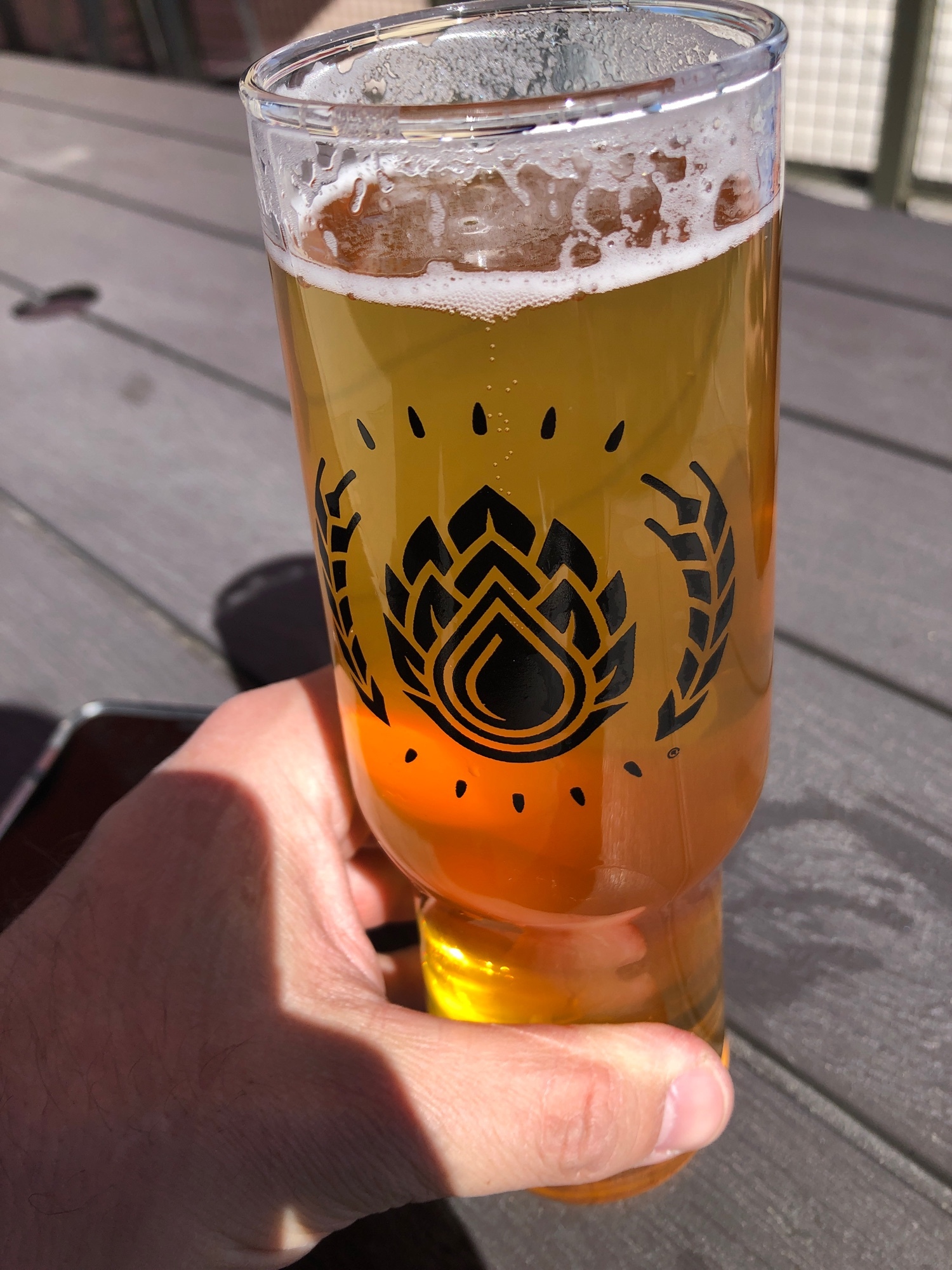 RoadJogger hoppy lager Goldwater