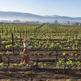 Summer Food & Wine Getaways