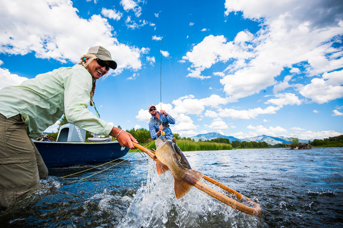 https://www.phoenixmag.com/wp-content/uploads/2022/07/Fish-Caught-Credit-Greta-Mikey.jpg