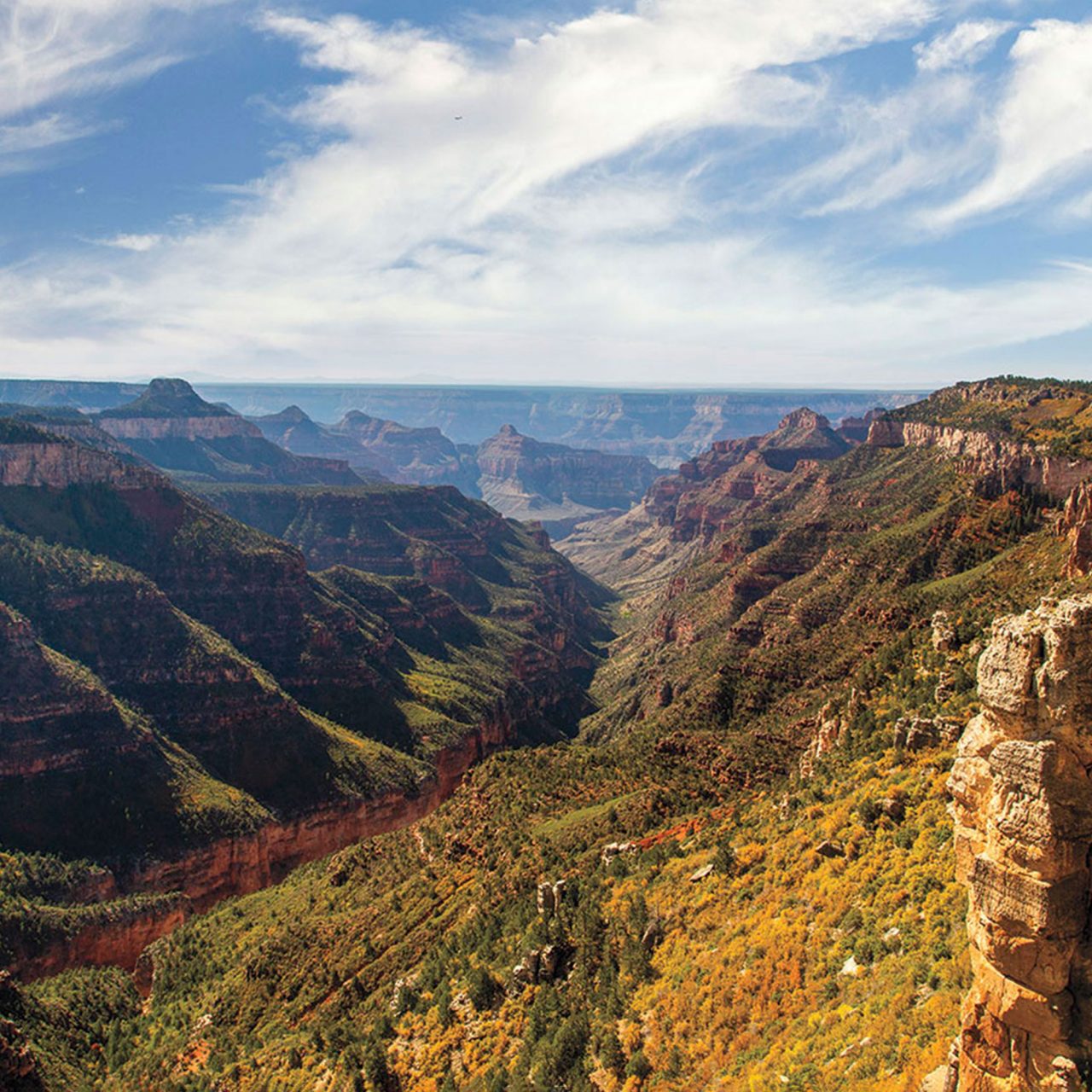 Grand Canyon North Rim Drive