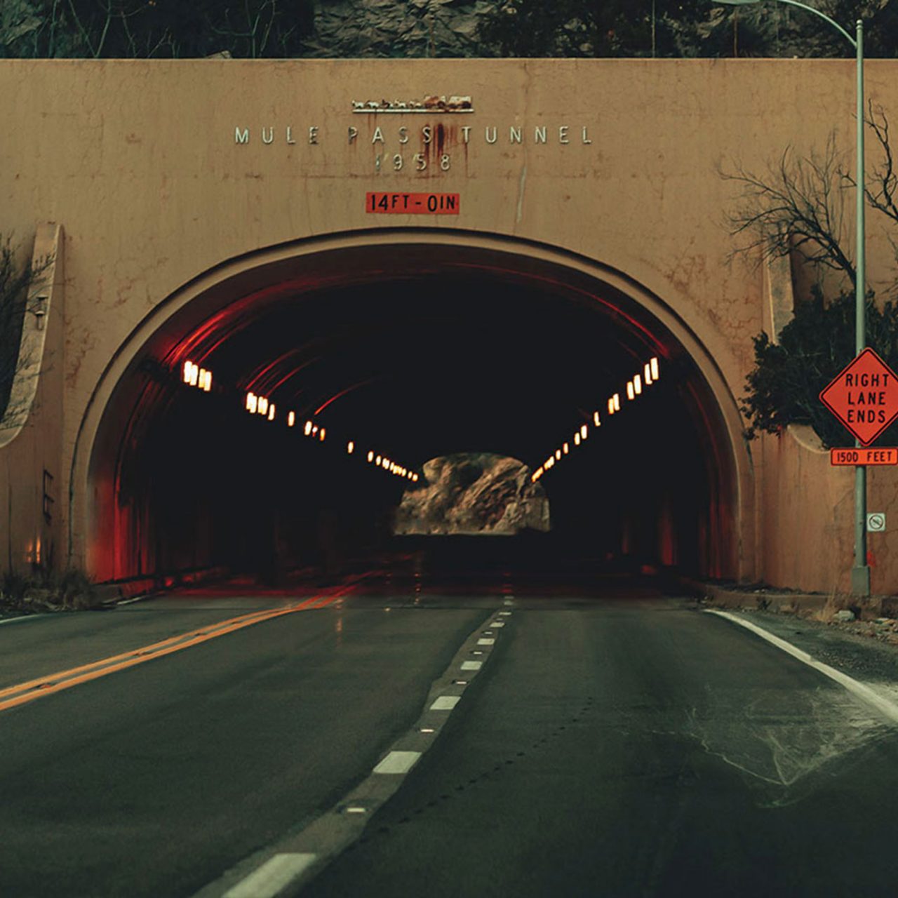Newcomers’ Road Trip: Southern Arizona