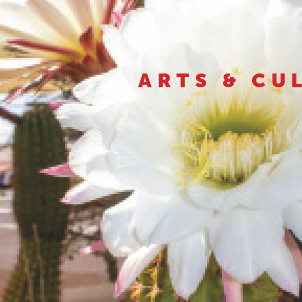 Newcomers’ Guide to Arts & Culture in Cave Creek & Carefree