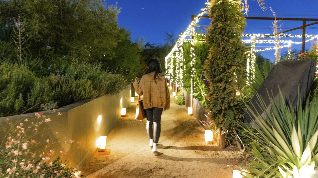 https://www.phoenixmag.com/wp-content/uploads/2022/11/Luminarias-at-Desert-Botanical-46-1280x720.jpg