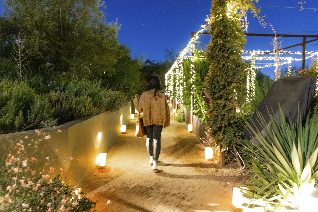 https://www.phoenixmag.com/wp-content/uploads/2022/11/Luminarias-at-Desert-Botanical-46-1280x853.jpg